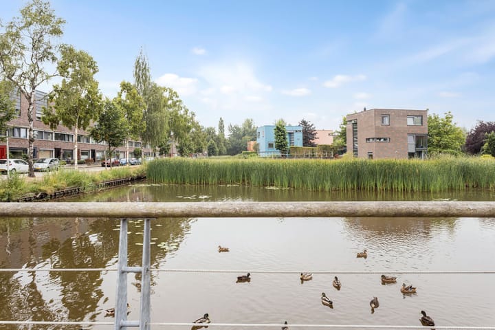 Photo 38 of Vederkruidlaan 59