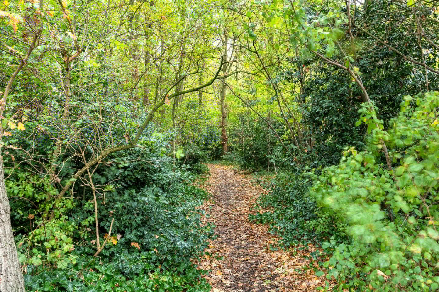 Photo 35 of Kuyperstraat 10