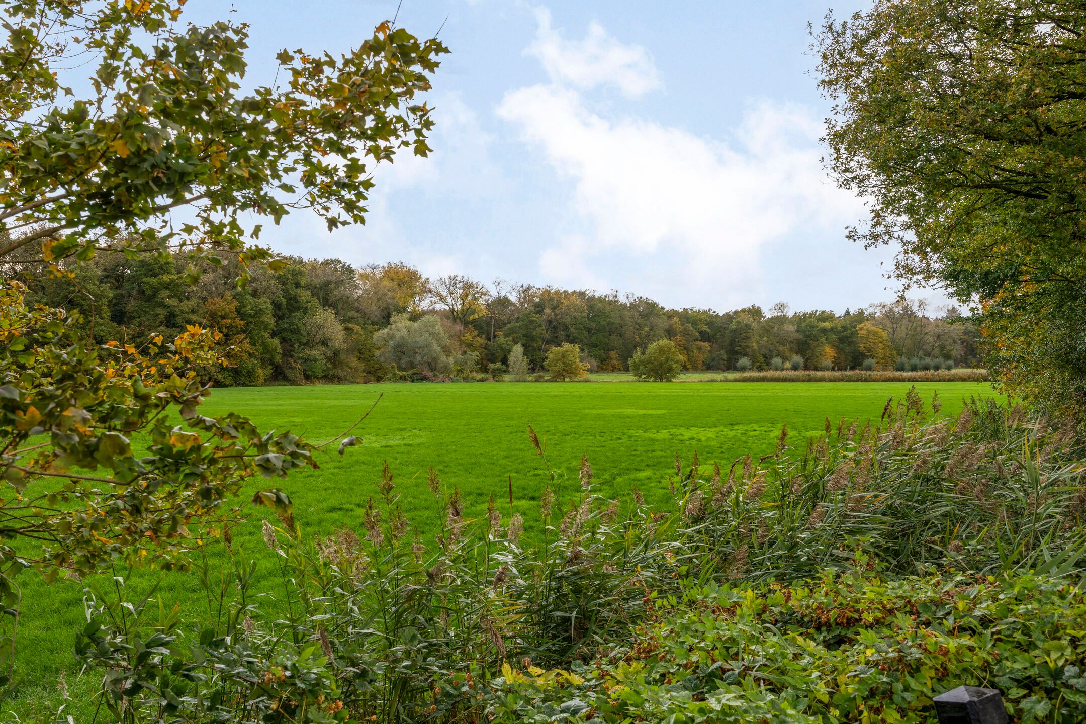 Photo 36 of Kuyperstraat 10