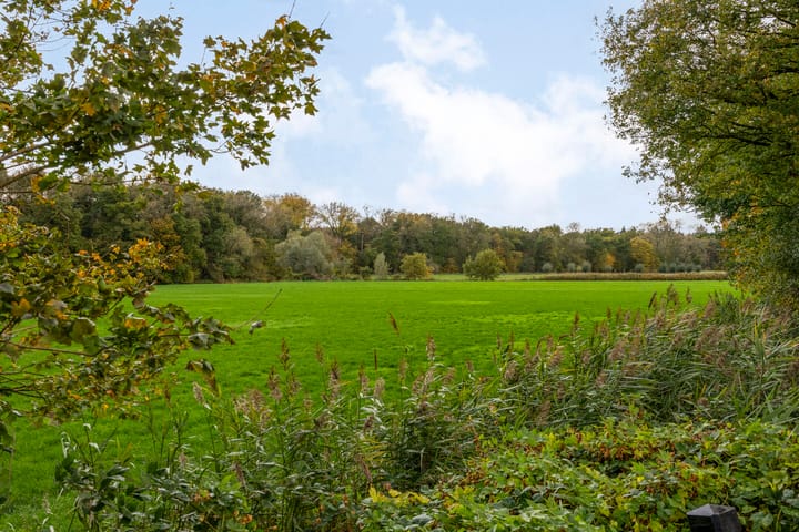 Photo 36 of Kuyperstraat 10