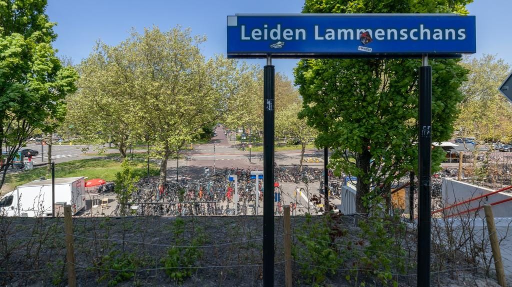 Photo 19 of Ananasweg 60