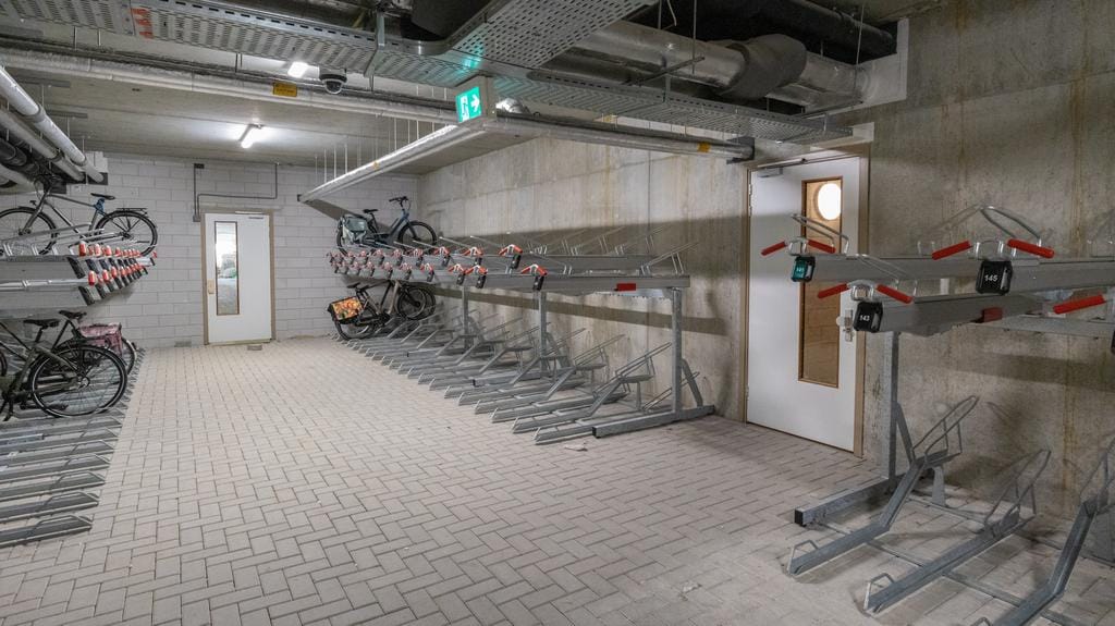 Photo 21 of Ananasweg 60