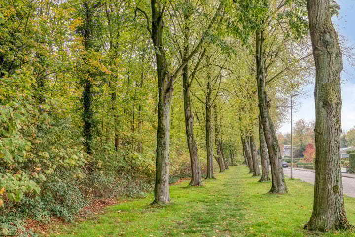 Foto 43 van Guido Gezellelaan 124