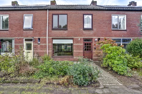 undefined main image