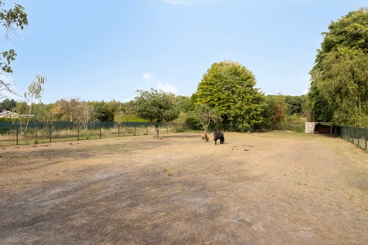 Photo 2 of Braambos 18