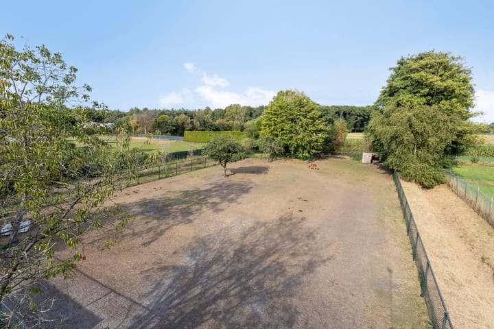 Photo 23 of Braambos 18