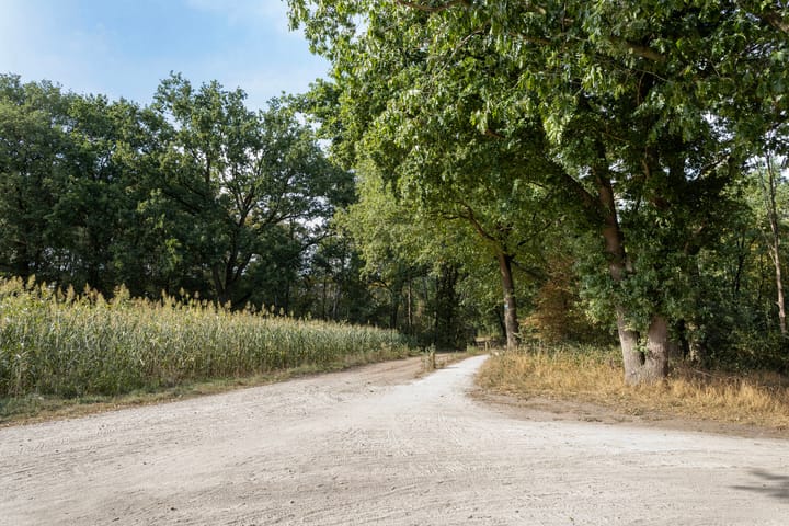 Photo 25 of Braambos 18