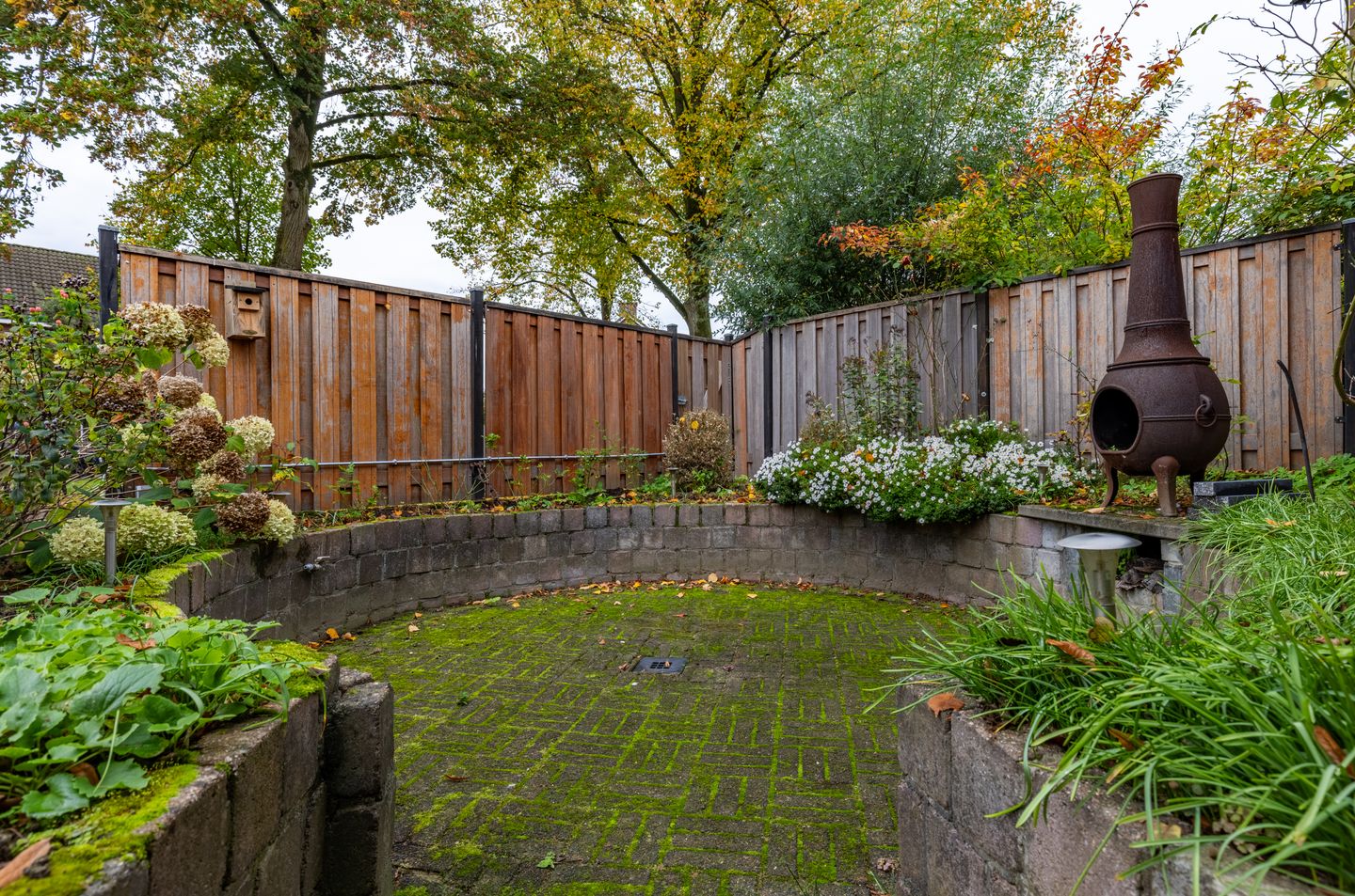 Foto 20 van Grote Maote 41