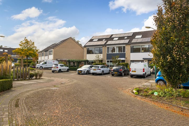 Foto 33 van Kamgras 33