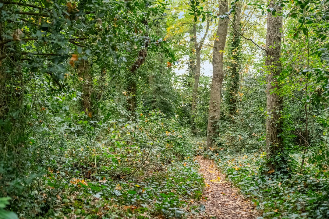 Foto 31 van Fahrenheitstraat 60-C