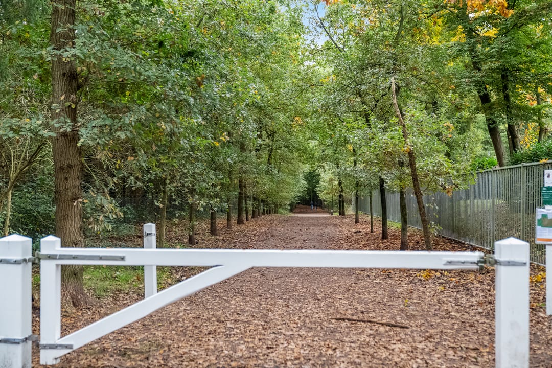 Foto 32 van Fahrenheitstraat 60-C