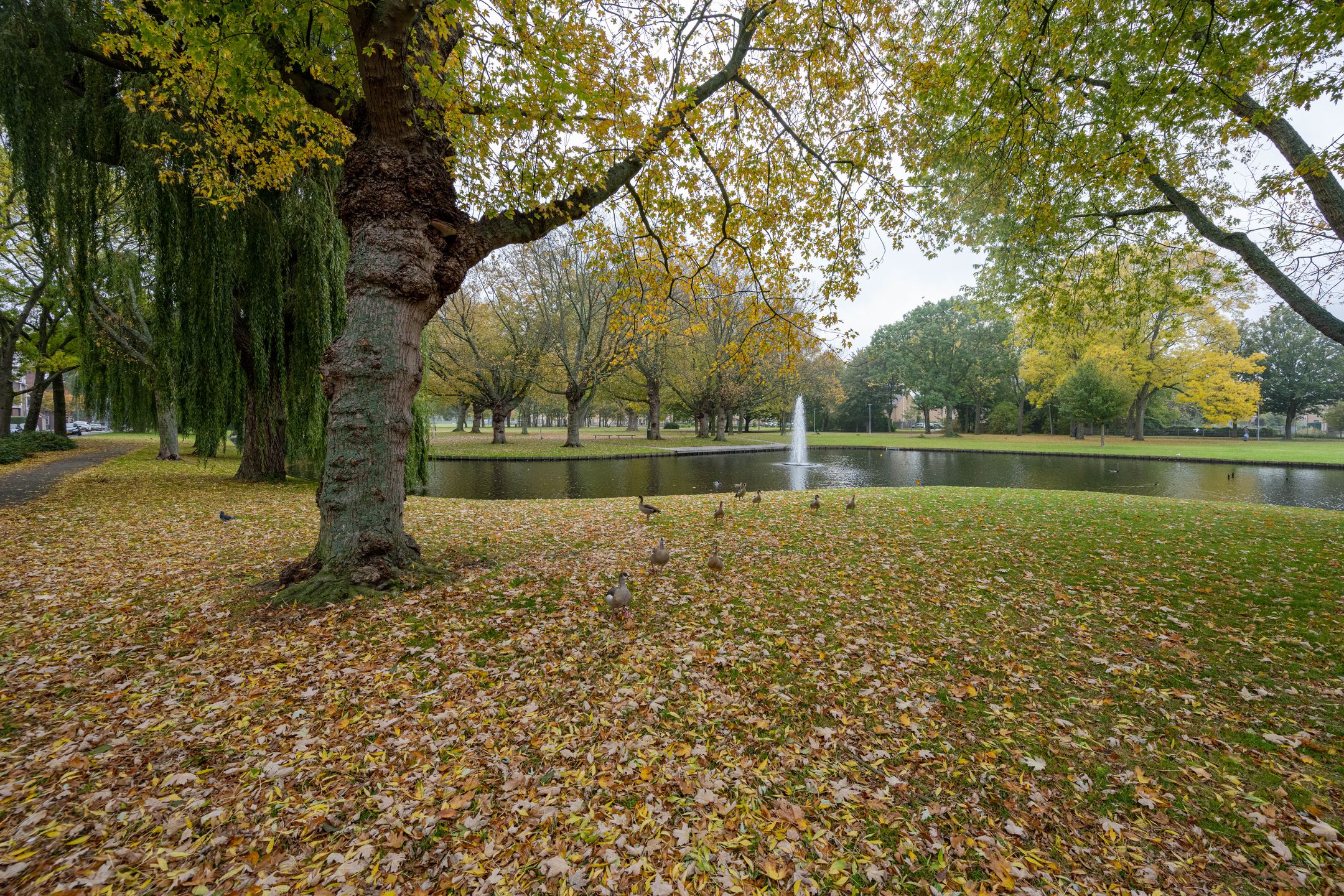 Foto 21 van Sikkelstraat 34-A