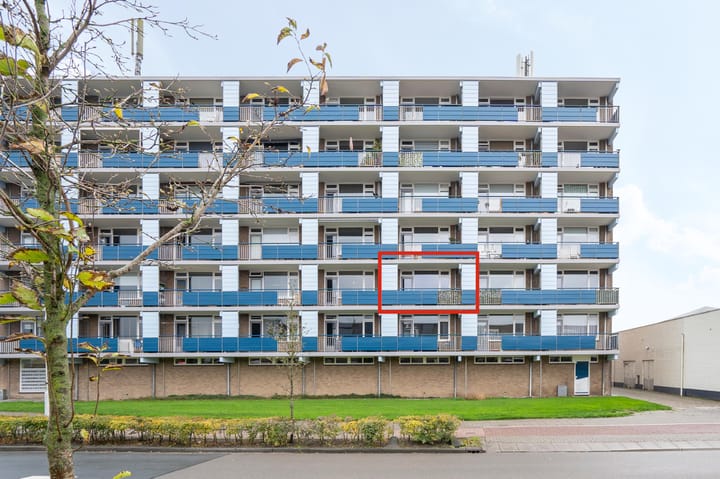 Gerard Dousingel 28 main image