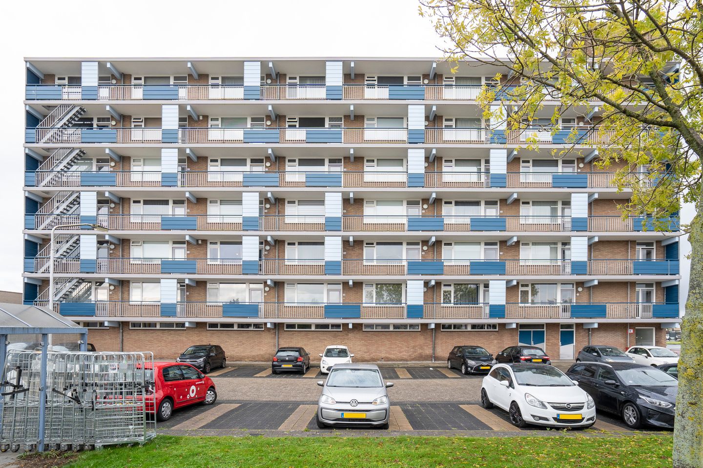 Foto 19 van Gerard Dousingel 28