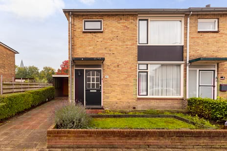 undefined main image