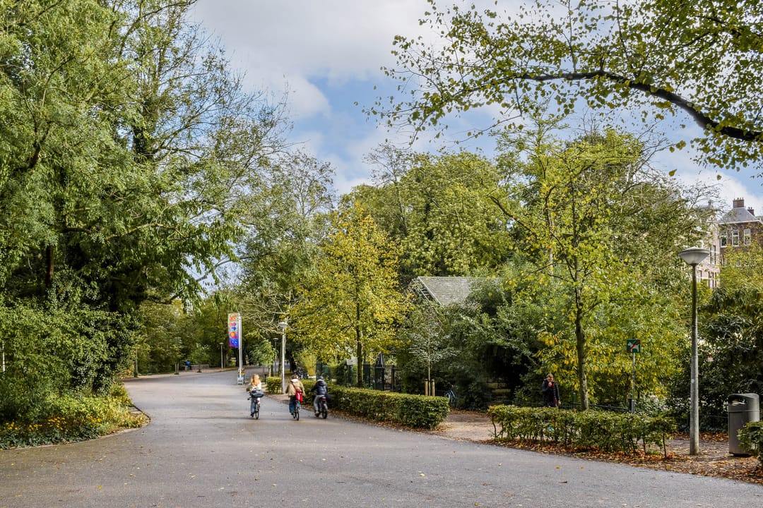 Foto 37 van Zocherstraat 51-3