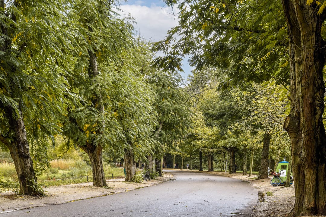 Foto 38 van Zocherstraat 51-3