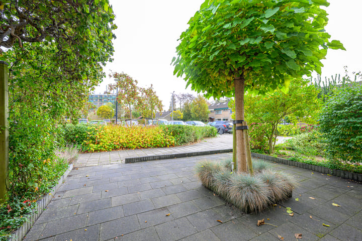 Photo 3 of Doornenhof 22