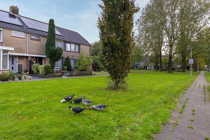 Foto 5 van Bourgondiëweg 47