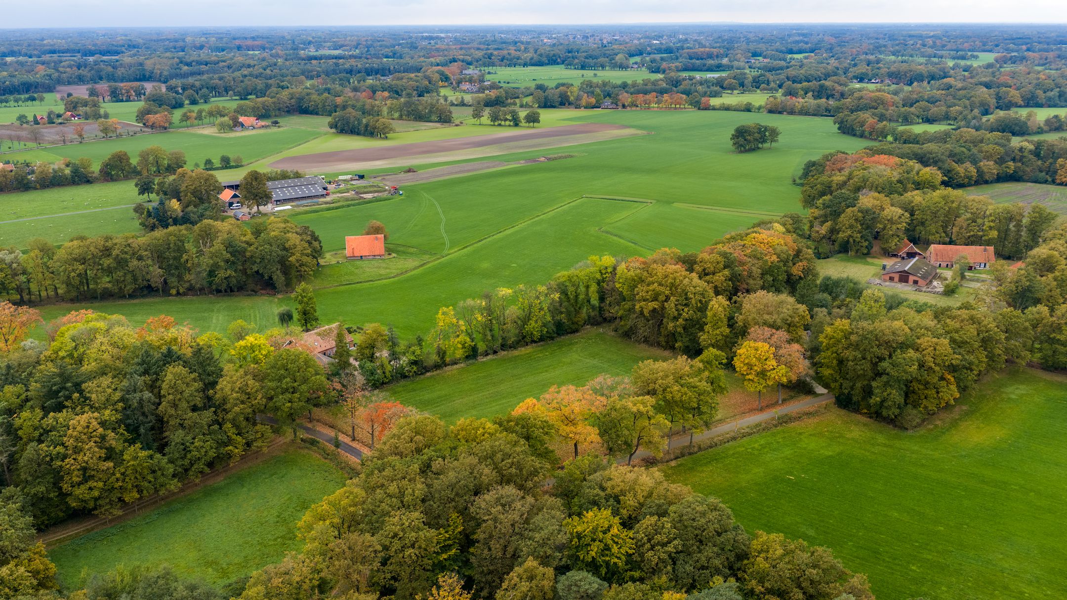 Foto 27 van Scholtemaatweg 11