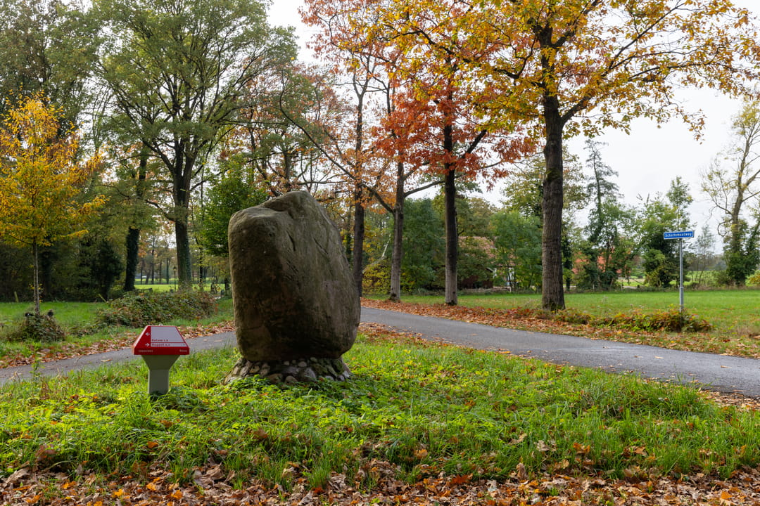 Foto 28 van Scholtemaatweg 11