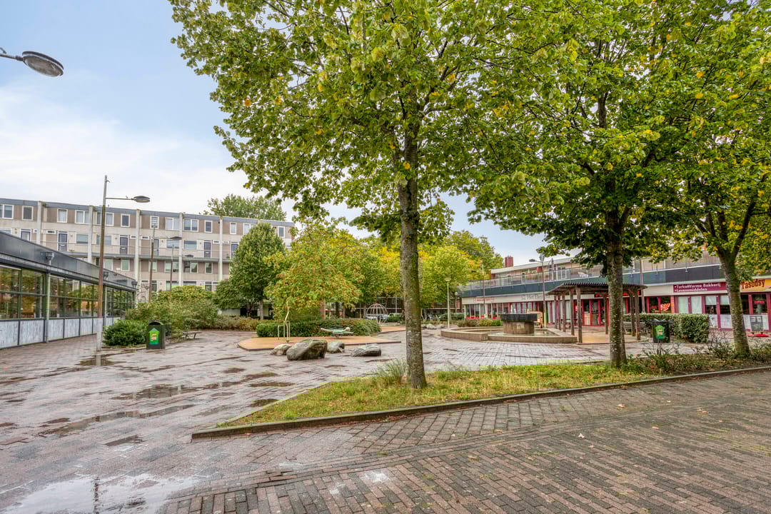 Photo 53 of Dovenetelweg 51