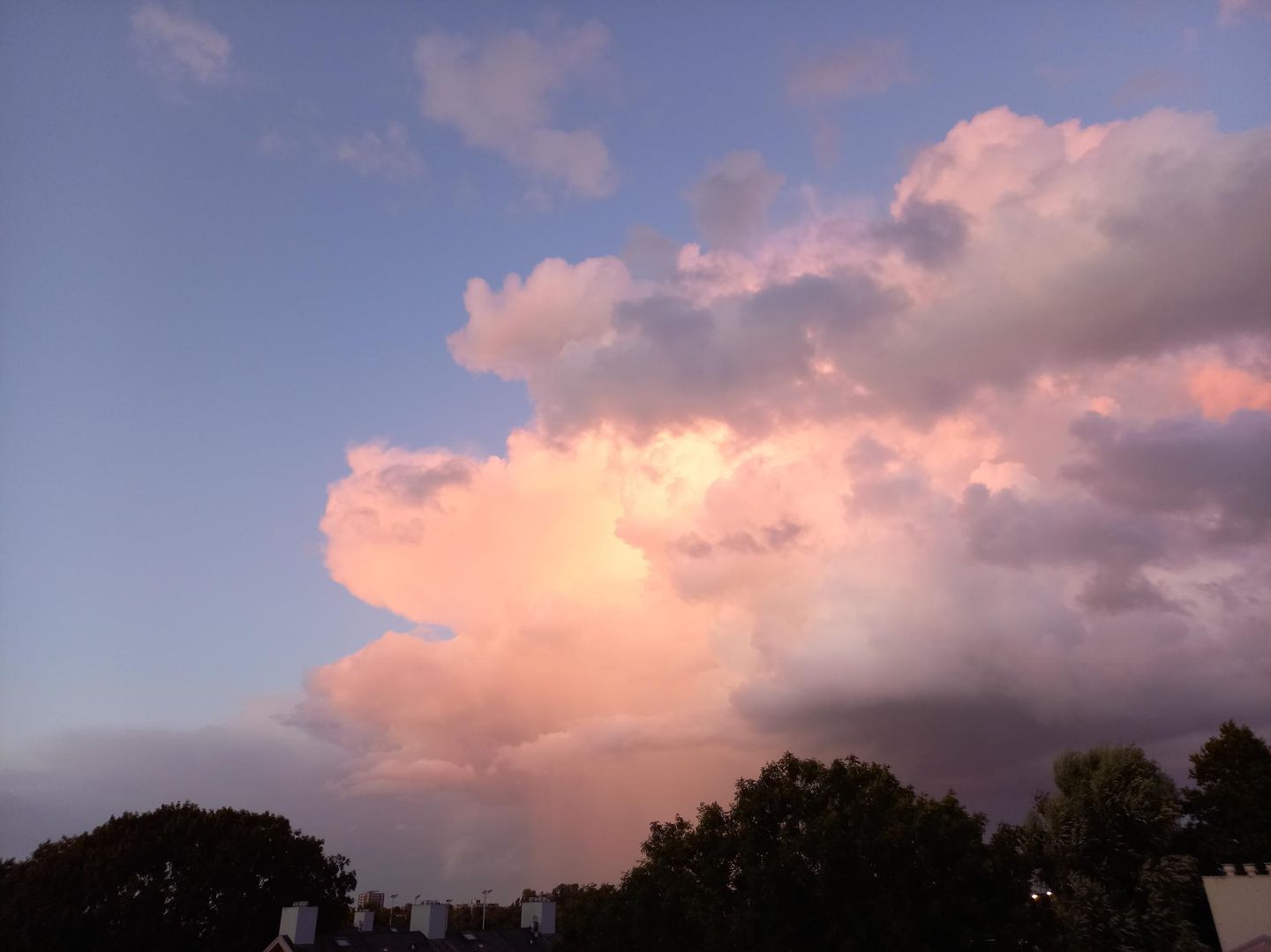 Foto 44 van Veen en Duin 43