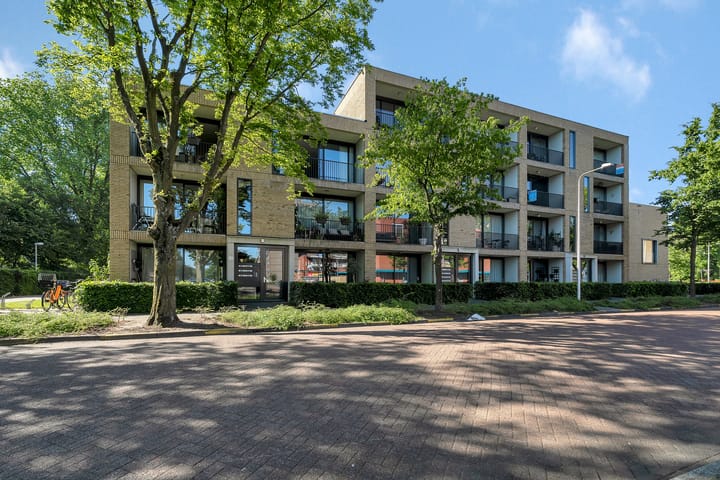 Foto 2 van Zerboltstraat 2-V