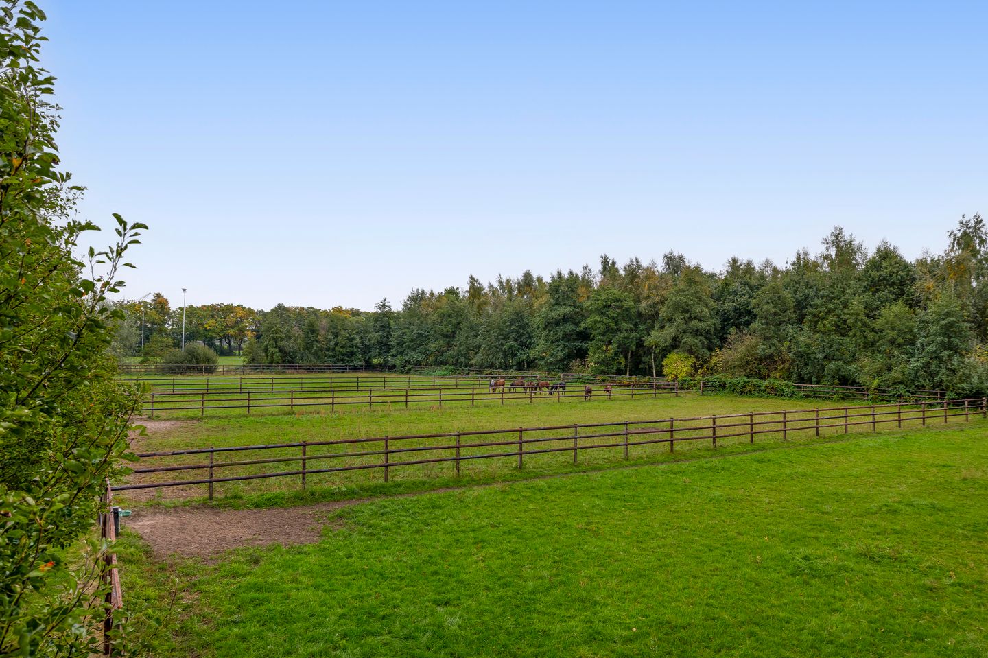 Photo 40 of Dungensesteeg 10