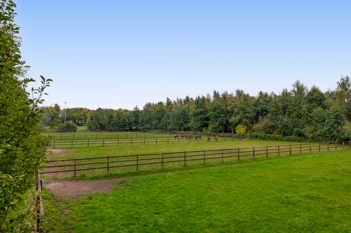 Photo 40 of Dungensesteeg 10