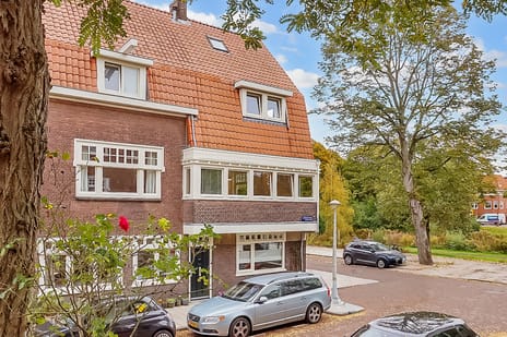 Galileïplantsoen thumbnail