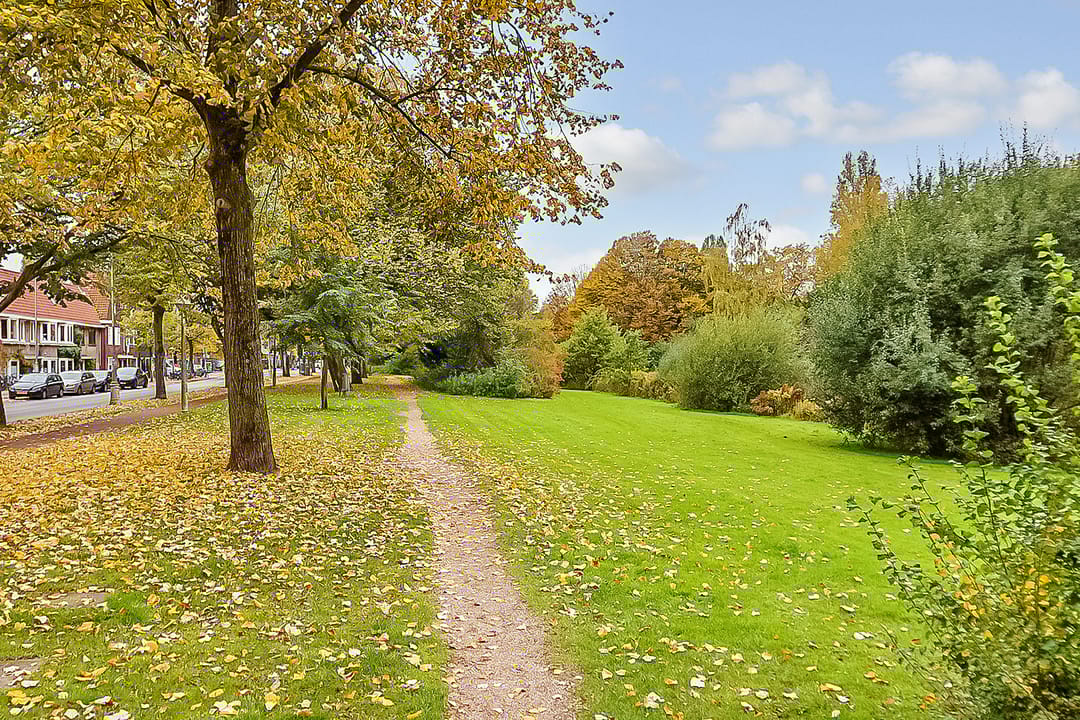 Foto 32 van Galileïplantsoen 89-1