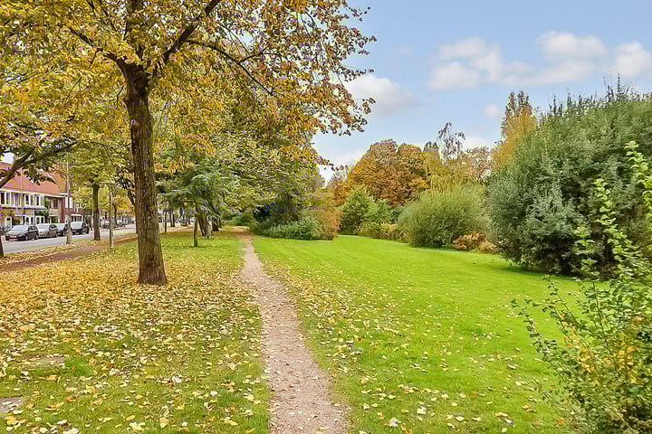 Photo 32 of Galileïplantsoen 89-1