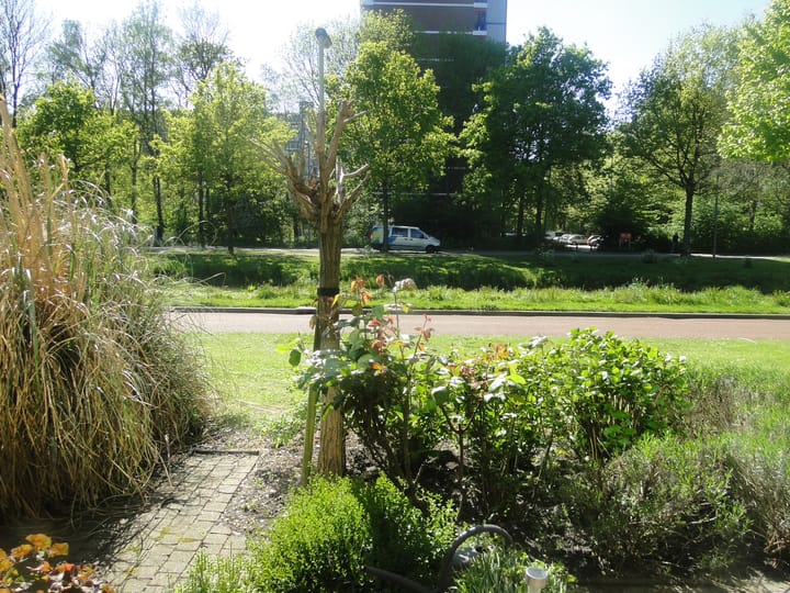 Foto 35 van Marie van Eijsden-Vinkstraat 23