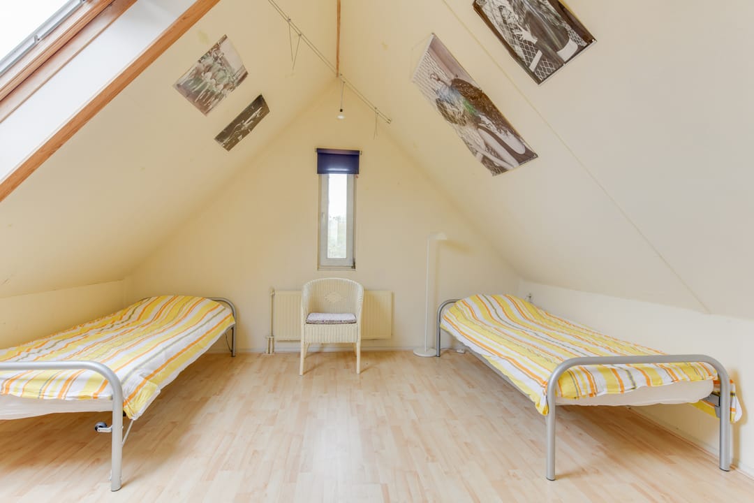 Foto 41 van Harpij 6