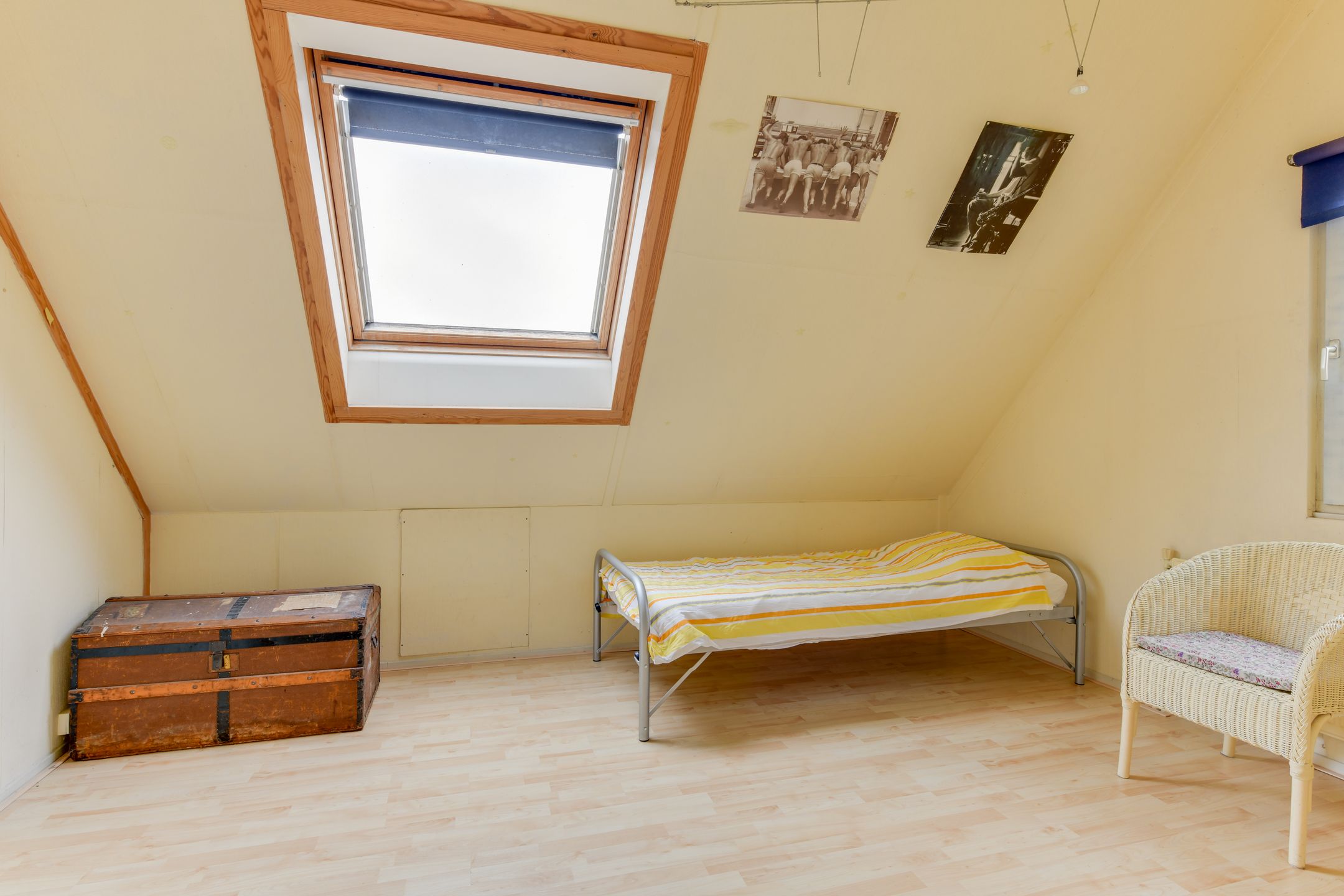 Foto 42 van Harpij 6