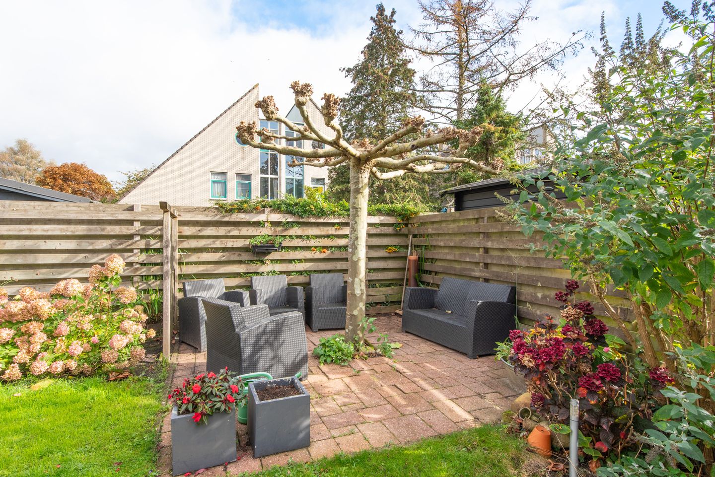 Foto 49 van Harpij 6