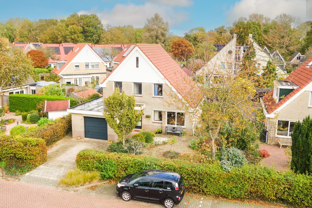 Foto 53 van Harpij 6