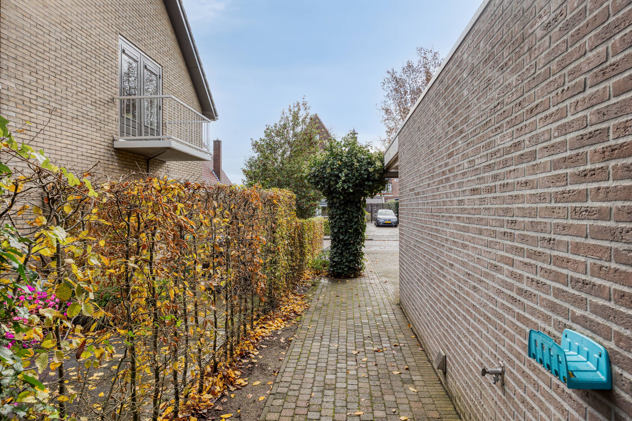 Foto 36 van Pastorielaan 10