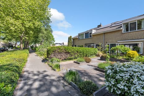 Plantage 23 tertiary image