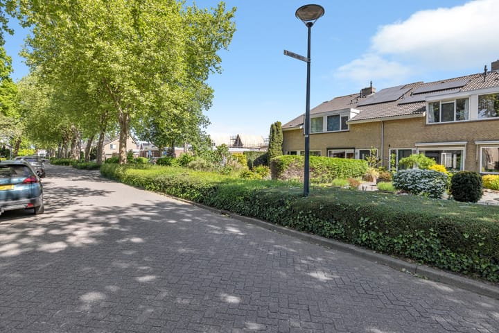 Foto 4 van Plantage 23