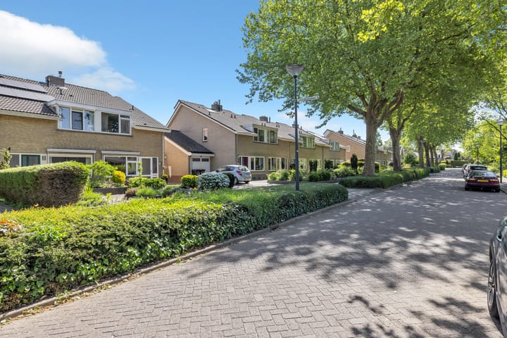 Foto 6 van Plantage 23