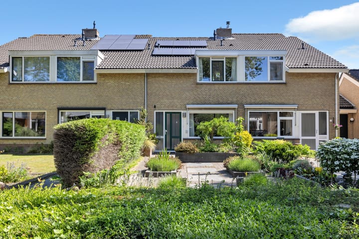 Foto 7 van Plantage 23