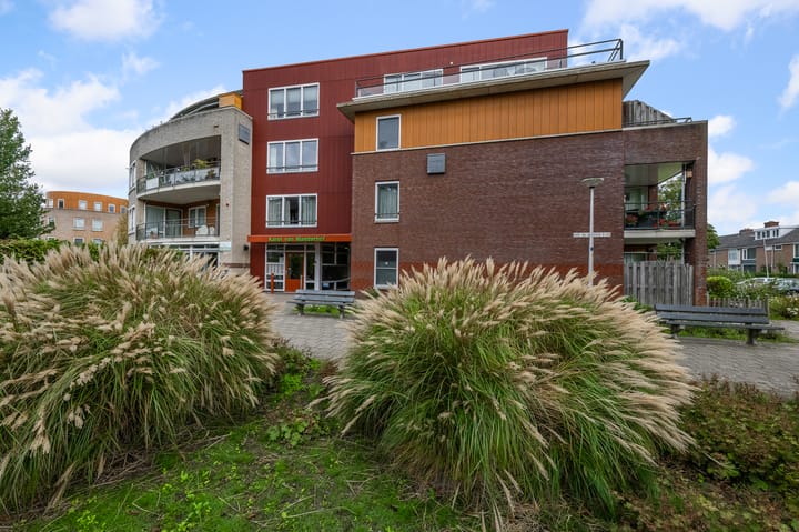 Karel van Manderhof 129 main image