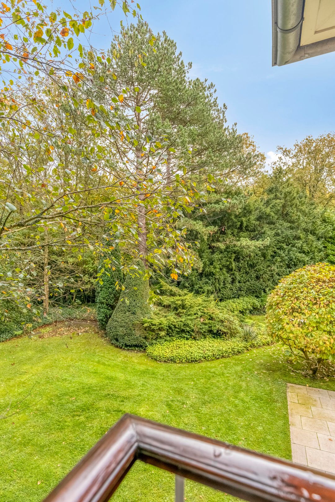 Foto 41 van Nachtegalenlaan 17