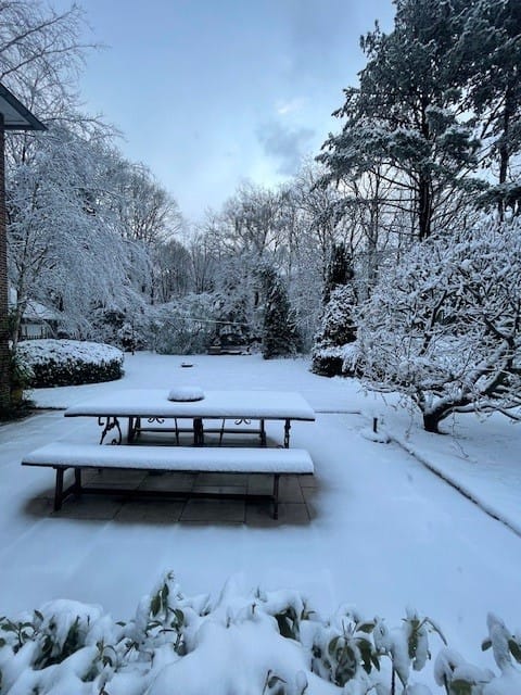 Foto 55 van Nachtegalenlaan 17