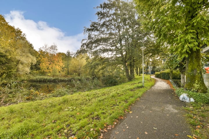 Foto 42 van Buiksloterbreek 114