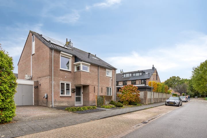 Foto 37 van De Kongo 4