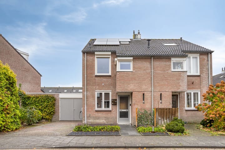 Foto 38 van De Kongo 4