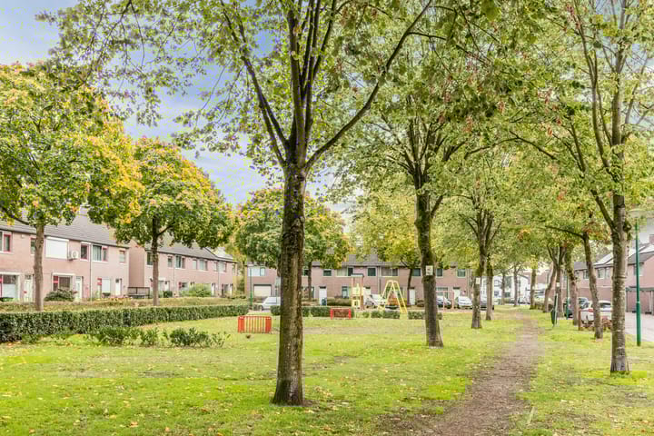 Foto 33 van Leibeemd 54